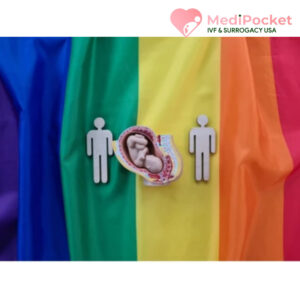 LGBT and surrogacy