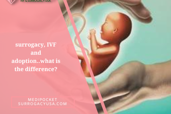 IVF vs Surrogacy vs Adoption