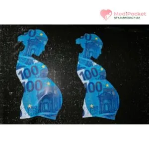 commercial surrogacy - Medipocket Surrogacy USA