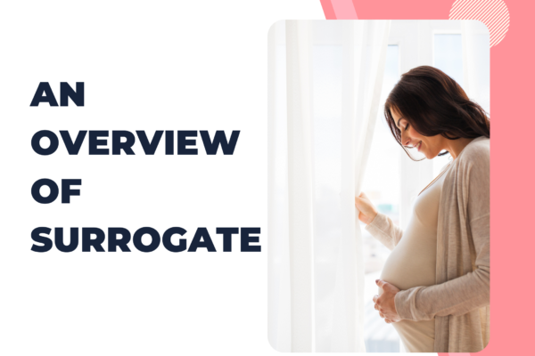 An overview of surrogates – Surrogacy and IVF-Powered by MediPocket USA