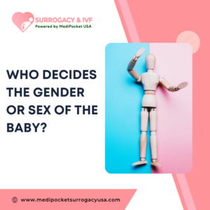 Who Determines the Gender or Sex of the Baby?