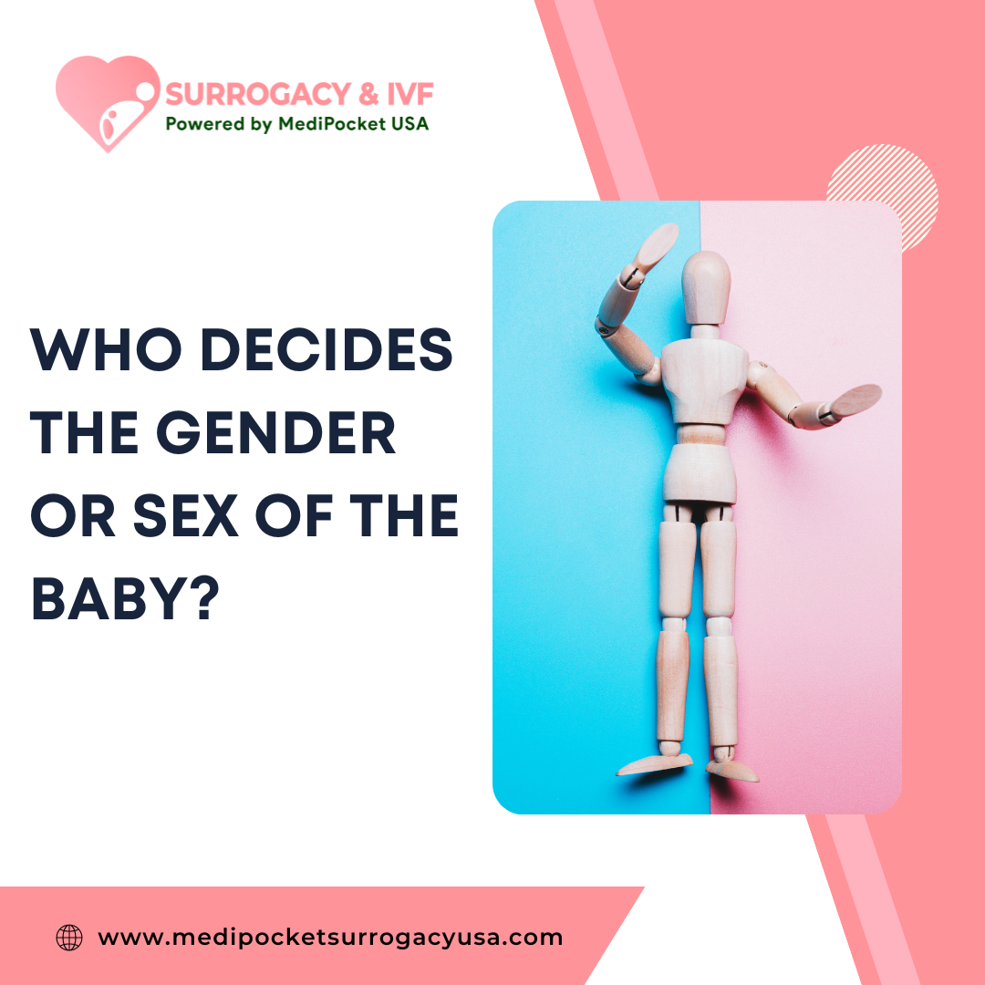 Who Determines the Gender or Sex of the Baby? - Medipocket Surrogacy USA