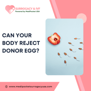 Can your body reject Donor Egg?