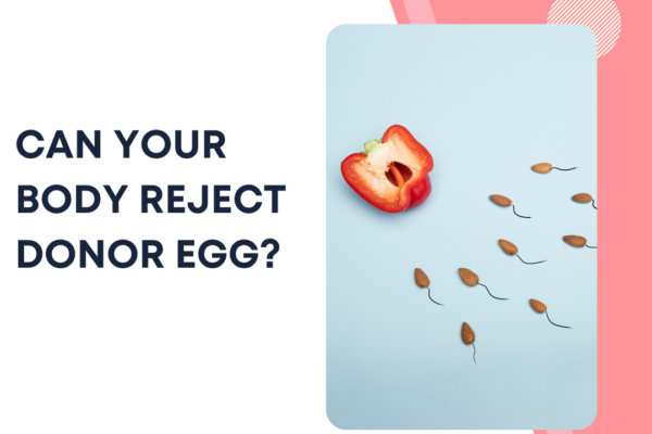 Can your body reject Donor Egg?