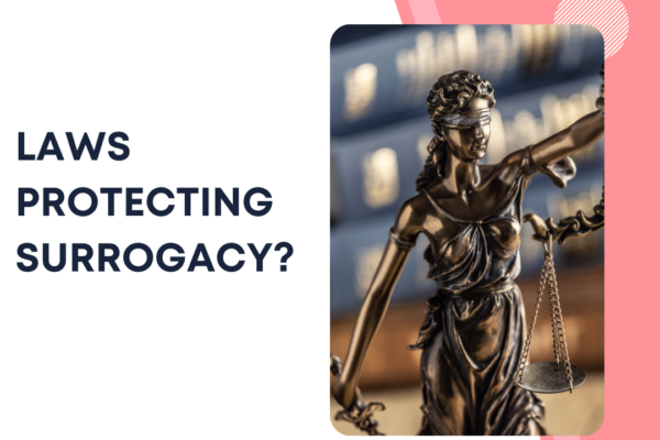 How do laws protect Surrogacy?